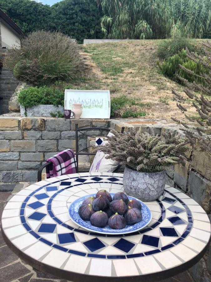 Fig&Lavender Apartment Šmarje Zewnętrze zdjęcie